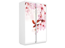 Недорогие шкафы