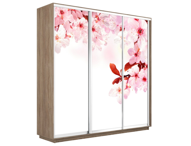 Шкаф-купе Экспресс 3-х дверный (Фото №1023 Сакура), Сонома